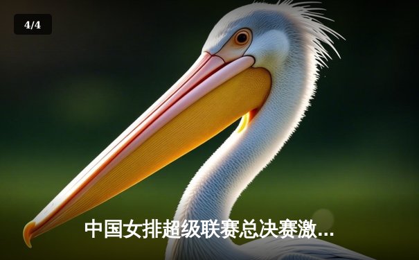 中国女排超级联赛总决赛激战，天津女排逆转夺冠创历史 - 4